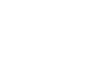 logo-vidal-2